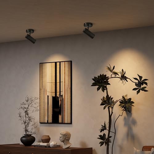 Aisilan 2 Pack LED Modern Directional Dimmable Spot Light Indoor, Adjustable Angle Wired Ceiling Spotlight Lamp for Living Room, Painting, Artwork Accent Lighting - Warm Light 3000K, 9W, CRI 97 - Image 4