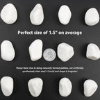 10lbs White River Rocks, Polished Pebbles for Plants, Garden, 1-2 Inch Decorative Stones, Ideal for Fish Tanks, Vases, Crafting, and Landscaping (Weight : 10 LB, Pure White) - Image 5