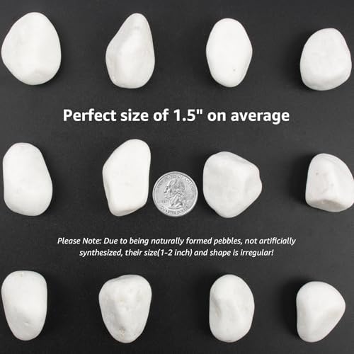 10lbs White River Rocks, Polished Pebbles for Plants, Garden, 1-2 Inch Decorative Stones, Ideal for Fish Tanks, Vases, Crafting, and Landscaping (Weight : 10 LB, Pure White) - Image 5