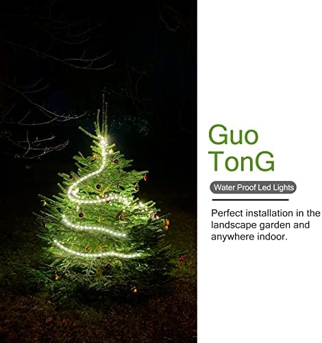 Rope Lights Outdoor Waterproof Daylight White: LED 20FT Cuttable Outside Bright 110V Lighting Connectable Flexible Plug Cool Clear Tube, Indoor Deck Patio Xmas Camping Decor, Not Flat Strip - Image 3