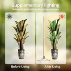 Standing Grow Lights for Indoor Plants, 4FT Plant Growing Lamps for Office - Image 3