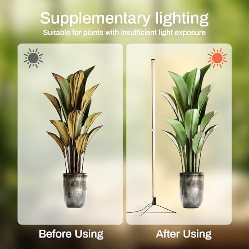 Standing Grow Lights for Indoor Plants, 4FT Plant Growing Lamps for Office - Image 3