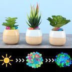 Sasylvia 3000 Pcs Glow in the Dark Rocks Outdoor, 1 Inch,Multicolor - Image 5