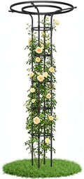 Garden Trellis for Climbing Plants Outdoor,84.6" Tall Umbrella Trellis by PlusYard