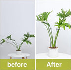 15.5" 10 Pack Large Iron Monstera Trellis - Heavy-Duty Plant Supports - Image 4
