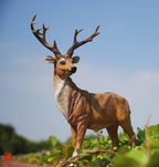 Resin Female Deer & Standing Male Deer Figurine Animals Statue Home Garden Yard Ornament Lawn Outdoor Patio Decor - Image 5