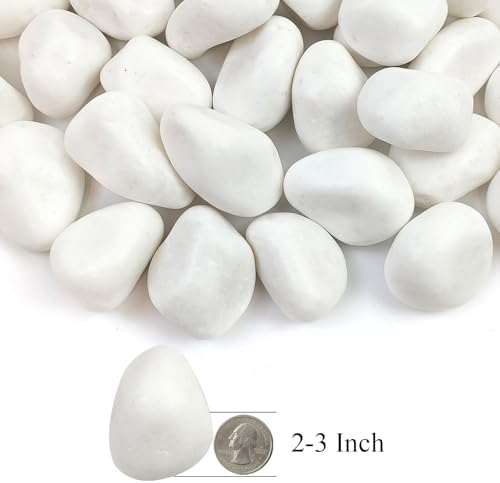 20lbs White Rocks for Landscaping,2-3 Inch Decorative Pebbles for Plants,River Rocks for Backyard,Flower Beds, Indoor Fountains, Paths, Aquarium Vase,Outdoor Garden - Image 2