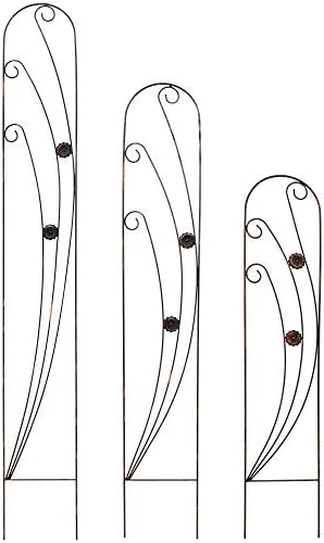 Arcadia Garden Products TR07 Phoenix Trellis Size: 4', Black - Image 3