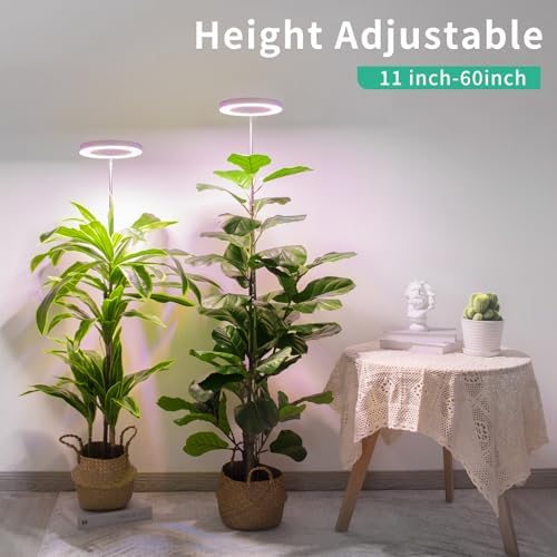 LORDEM Grow Light, Full Spectrum Plant Light for Indoor Growing - Image 2