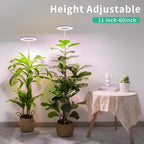 LORDEM Grow Light, Full Spectrum Plant Light for Indoor Growing - Image 2