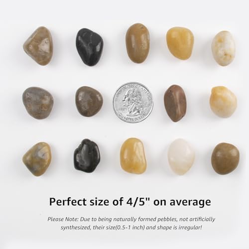 20lbs 0.5-1 Inch River Rocks, Decorative Mixed Pebbles for Garden Landscaping, Indoor Plants, Fish Tanks, Vases, and Succulents – Ideal for Home Decoration and Outdoor Gardens (Mixed, Weight: 20 LB) - Image 3