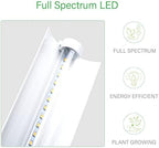 2 feet LED Grow Light Stand for Seedling,Iron Pipe Frame,with Natural White Light Full Spectrum LED Plant Growing Lamp, Light Height Ajustable,with Timer Outlet - Image 3