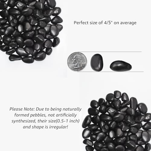 40 lbs Black River Rocks - Large Polished Black Pebbles for Plants & Garden Decorative Stones，0.5-1" Polished Pebbles for Landscaping, Fish Tanks, Flower Pots, Water Fountains - Image 2