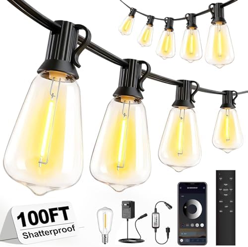 Outdoor String Lights 100FT, APP & Remote Control Dimmable Patio Lights, Plug in LED String Lights with Timer, Waterproof Backyard Pergola Garden Party Decor by SkoiucLights