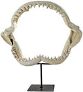 Design Toscano Shark's Jagged Jaws Statue by DesignToscano