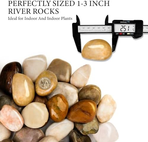 18lb Mixed River Rocks for Plants, 1-3" Pebbles for Indoor Plants - Image 2