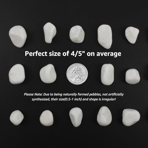 40 lbs White Polished Landscape Stones, 0.5-1 Inch Decorative Rocks for Gardens, Pathways, Pots, Vase Fillers, Aquarium Decoration, Glass Containers, and Yard Borde (Pure White, Weight: 40 LB) - Image 2