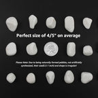 40 lbs White Polished Landscape Stones, 0.5-1 Inch Decorative Rocks for Gardens, Pathways, Pots, Vase Fillers, Aquarium Decoration, Glass Containers, and Yard Borde (Pure White, Weight: 40 LB) - Image 2