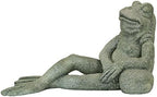 Design Toscano FU84648 The Most Interesting Toad in The World Frog Garden Outdoor Statue, One Size, Gray by DesignToscano