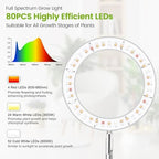 Kullsinss Grow Lights for Indoor Plants, 80 LEDs Full Spectrum Plant Lights for Indoor Growing with 2 Mounting Options, 6/12/16H Timer, 3 Spectrum Modes, 9.8"-37" Height Adjustable Grow Lamp, 2 Pack - Image 5