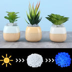 Sasylvia 3000 Pcs Glow in the Dark Rocks Outdoor 1 Inch Pebbles,White - Image 4
