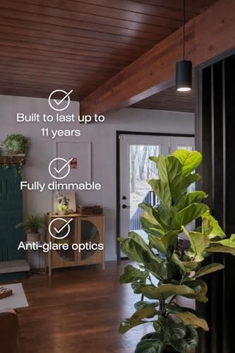 Aspect Soltech Gen 2 – World’s First Decor Grow Light | Black High-Output LED Pendant Grow Light for Indoor Plants | Warm White, Natural Light | Dimmable - Image 2