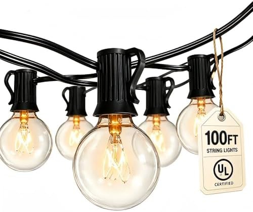 Abeja Outdoor String Light 100 Ft G40 Patio Lights with 105 Edison Glass Bulbs E12 Socket Base (5 Spare) Globe Clear Hanging Lights for Backyard Balcony Deck Party Decor, Not Connectable, Black by Abeja