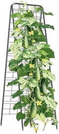100% Metal Cucumber Trellis for Raised Bed,62"x17" A-Shape Garden Plant Support for Climbing Plants, Heavy Duty Metal Garden Trellises Plant Support for Vine Vegetables Outdoor (Black, 62x17inch(H*W)) by Laodier