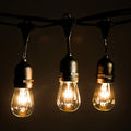 S14 Clear Light Bulbs with E26 Commercial Suspender Light String, 100 Foot by HometownEvolutionInc