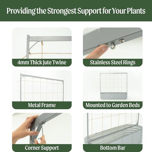 Vego Garden 8.0ft Long Tomato Metal Frame Trellis, Garden Trellis for Climbing Plants Like Cucumber Beans Tomatoes & Vines, (Garden Beds Not Included) - Image 5