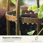 Garden Obelisk Trellis 100% Metal Heavy Duty 5.5 ft for Climbing Vines - Image 4