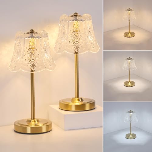 Shenmoyl Set of 2 Cordless Touch Table Lamp with 5200mAh Battery - 3 Adjustable Color Temperatures & Dimmable, Rechargeable Lamp for Bedsides, Living Room, Entryway, Bookshelves (Transparent Rose) by Shenmoyl