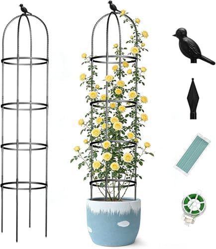Obelisk Trellis for Garden Plants Climbing: 6ft Rustproof Metal Pipe with Plastic Coated - Potted Plant Climber Support for Outdoor Indoor Grape Vines Vegetable Fruits Flowers (2PC) by ONEANU