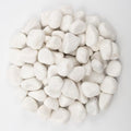 10lbs White River Rocks, Polished Pebbles for Plants, Garden, 1-2 Inch Decorative Stones, Ideal for Fish Tanks, Vases, Crafting, and Landscaping (Weight : 10 LB, Pure White) by LOOIOOJ