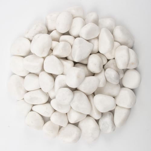 10lbs White River Rocks, Polished Pebbles for Plants, Garden, 1-2 Inch Decorative Stones, Ideal for Fish Tanks, Vases, Crafting, and Landscaping (Weight : 10 LB, Pure White) by LOOIOOJ