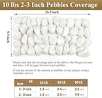 FANTIAN 10 lbs White River Rocks for Plants, Decorative Stones for Vase - Image 3