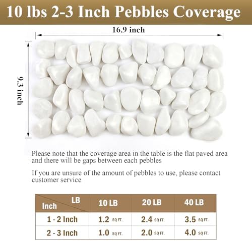 FANTIAN 10 lbs White River Rocks for Plants, Decorative Stones for Vase - Image 3