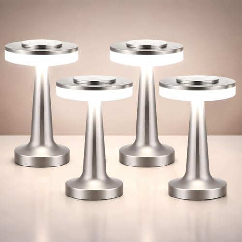 Riakrum 4 Pcs LED Cordless Table Lamp Bulk Rechargeable,Silver by Riakrum