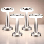 Riakrum 4 Pcs LED Cordless Table Lamp Bulk Rechargeable,Silver by Riakrum