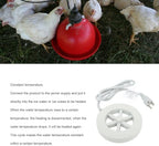Automatic Constant Temperature Bird Bath Heater - Image 6