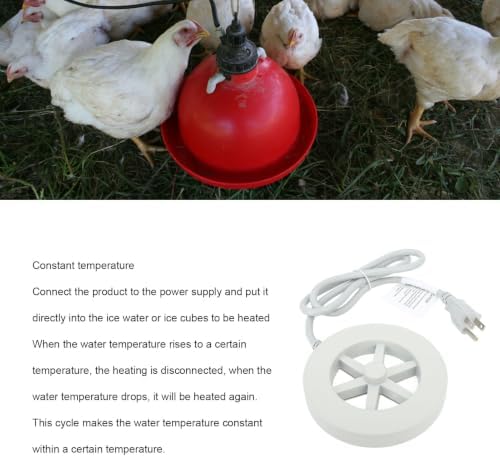 Automatic Constant Temperature Bird Bath Heater - Image 6