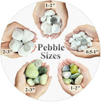 FANTIAN 20 lbs White Stones for Landscaping, 1-2 Inch Pebbles Decorative River Rocks for Plants Indoor, Vases, Aquariums Gravel, Crafting and Garden - Image 2