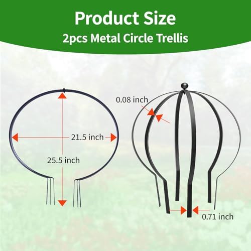 2PCS Large Garden Obelisk Trellis for Climbing Plants 25.5"X21.5" Metal Round Trellis for Outdoor Potted Sphere Frame for Roses Vines Support, Urn Filler Patio Doorway Courtyard Decor, Easy Assembly - Image 4