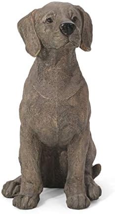 Unknown1 Outdoor Cast Stone Dog Garden Statue Brown Modern Contemporary Finish by Unknown