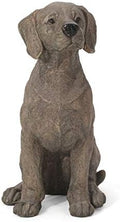 Unknown1 Outdoor Cast Stone Dog Garden Statue Brown Modern Contemporary Finish by Unknown