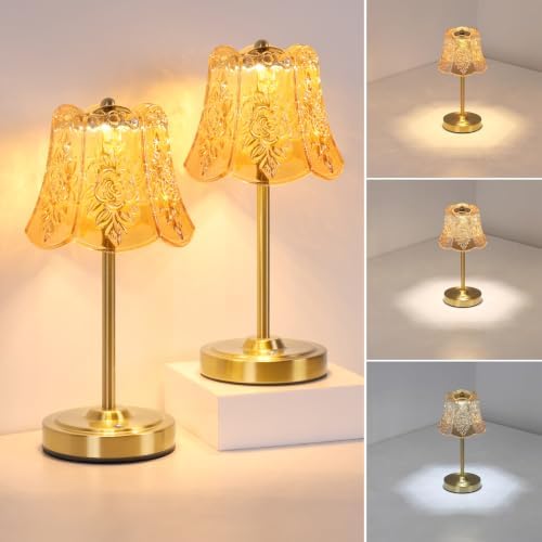 Shenmoyl Set of 2 Cordless Touch Table Lamp with 5200mAh Battery - 3 Adjustable Color Temperatures & Dimmable, Rechargeable Lamp for Bedsides, Living Room, Entryway, Bookshelves (Amber Rose) by Shenmoyl