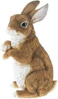 CLEVER GARDEN Rabbit Garden Statue Outdoor Décor, Resin Figurine Decoration for Lawn, Yard, Patio, Porch, and More by CleverGarden