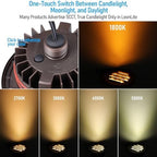 LEONLITE 6-Pack Dia. 4 Inch 5CCT Well Light Grated Top Oil Rubbed Bronze - Image 3