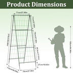 unho Metal Tall Garden Trellis for Climbing Plants Outdoor 2 Pack 82"x27" - Image 2