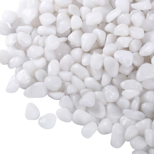 15lbs White Rocks, 3/8 Inch Small White Pebbles for Plants, Vase, Garden, Decorative Pea Gravel for Landscaping, Polished by Calofulston